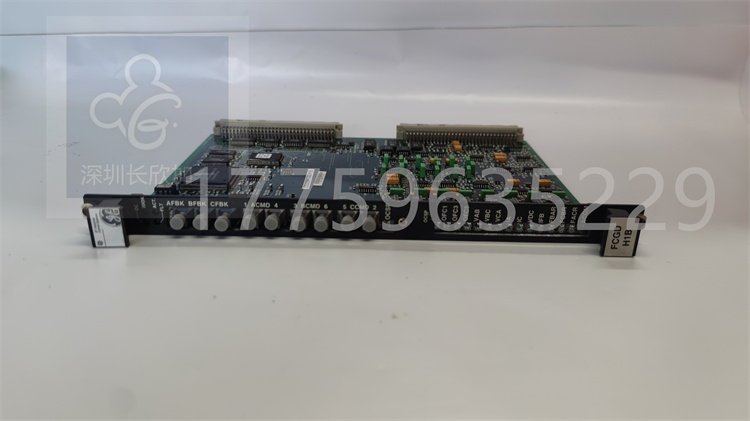 GE  DS200FCGDH1B  通用電氣驅(qū)動(dòng)系統(tǒng)